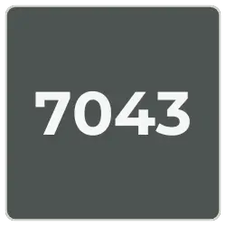 7043