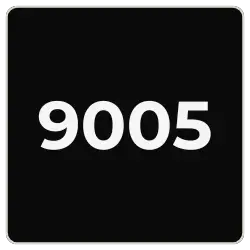 9005