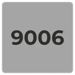 9006